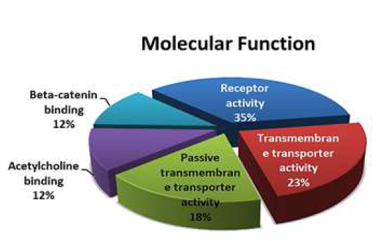 Molecular Function - FB-iPS EC