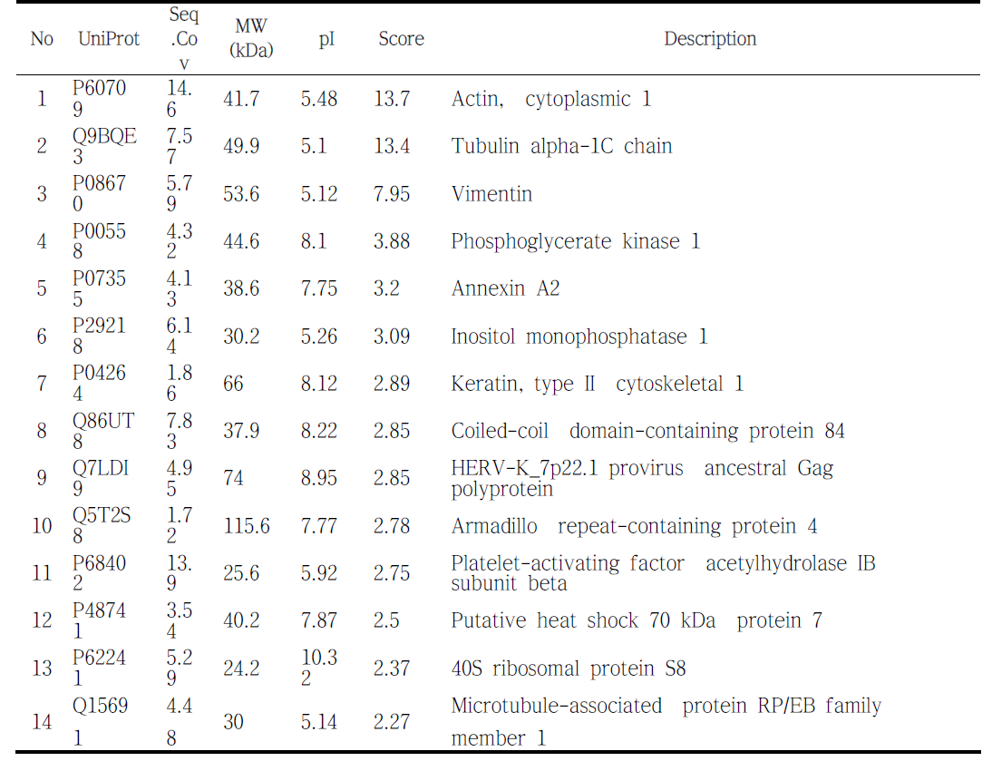 List of total proteins in H9 (EC)
