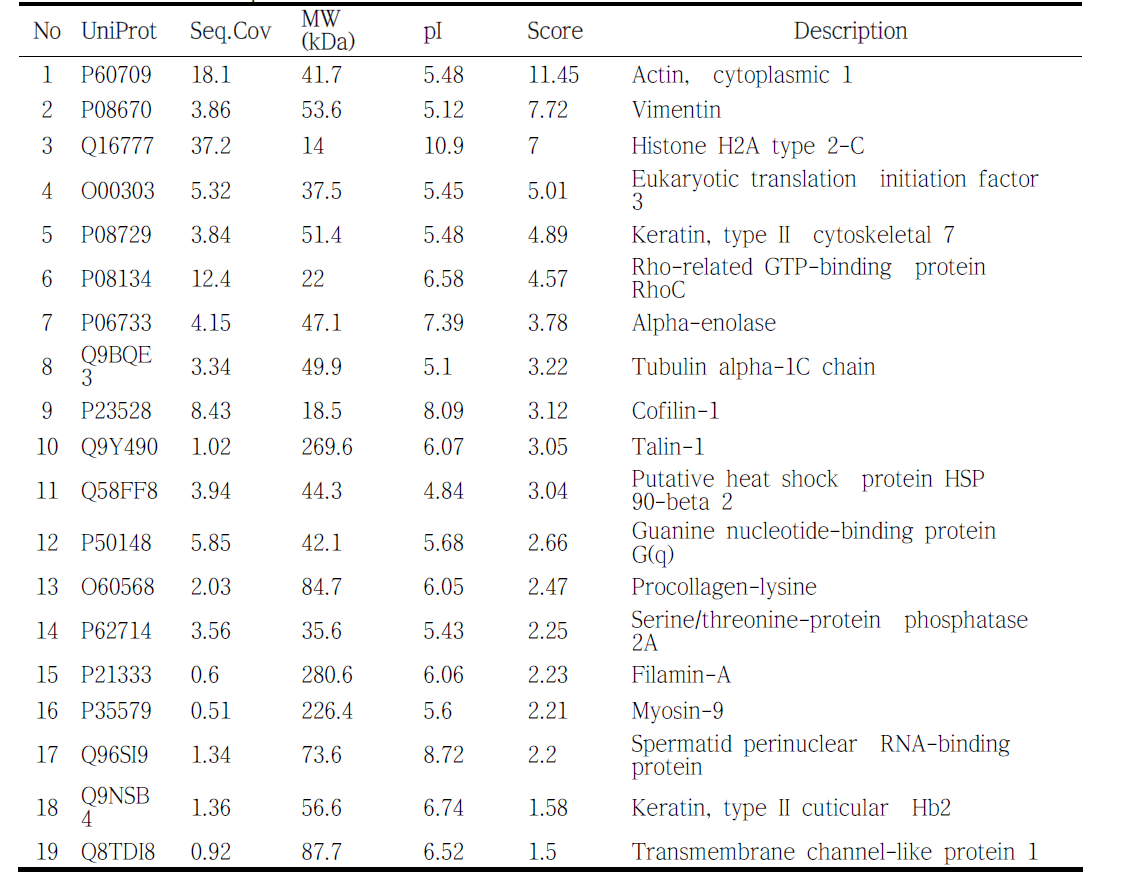 List of total proteins in FB-iPS → EC → FZ