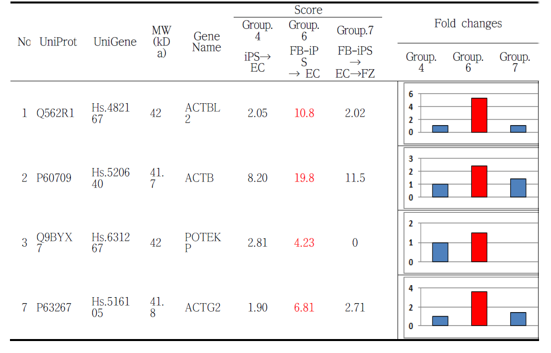 List of total proteins in iPS→EC, FB-iPS→EC and FB-iPS→EC→FZ