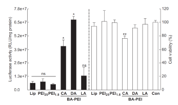 PEI-bile acid 접합체(CA, DA, LA)의 rat MSC에서의 transfection 효율 및 세포독성