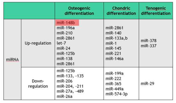 줄기세포의 osteogenic, chondrogenic, tenogenic differentiation의 조절에 관여하는 microRNA (miRNA)와 siRNA