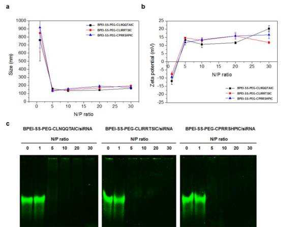 Physicochemical properties of the polyplexes.