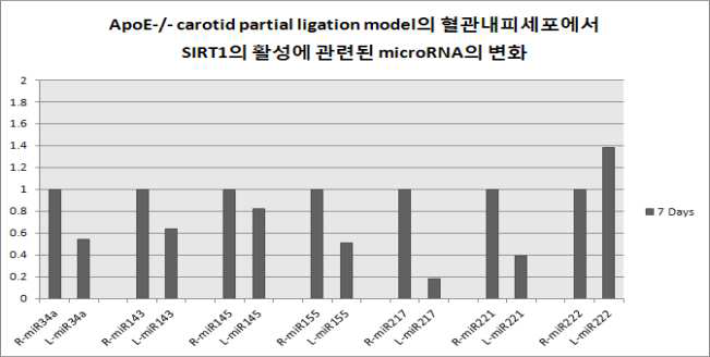 경동맥 부분결찰 ApoE KO 마우스의 혈관내피세포 에서 경동맥 결찰 7일 후 SIRT1의 활성에 관련된 microRNA 의 변화