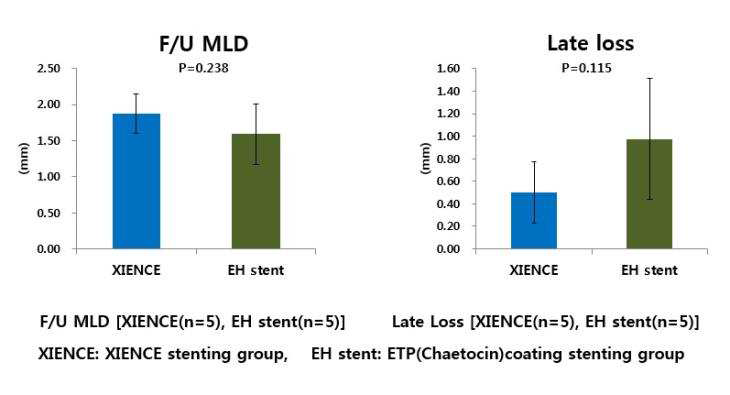 XIENCE 및 Chaetocin 코팅 스텐트 삽입 후 angiography 분석