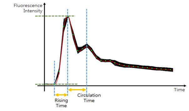 Rising time과 circulation time에 대한 설명.