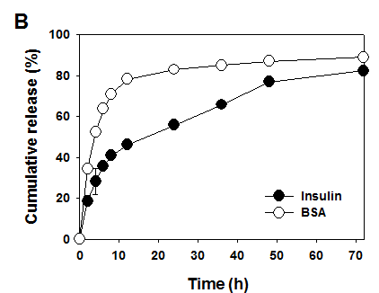 PEG-엘라스틴 입자의 생체활성인자 방출 시험 결과