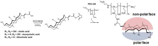 다양한 담즙산이 도입된 고분자 전달체 합성 모식도
