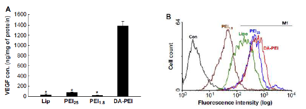 DA-PEI를 이용한 VEGF plasmid DNA (pHI-VEGF)의 MSC내 유전자전달에 의한 VEGF 발현 효율 (A) 및 세포 전달효율 (flow cytometry) (B).