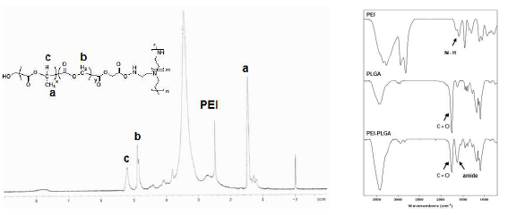 양이온성고분자-폴리에스터 기반의 생분해성 고분자의 화학구조분석