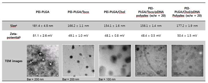 합성고분자 전달체 및 플라스미드 DNA와 형성된 고이온복 합체의 특성화