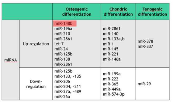 줄기세포의 osteogenic, chondrogenic, tenogenic differentiation의 조절에 관여하는 microRNA (miRNA)와 siRNA