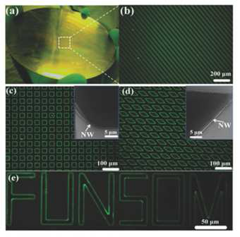 나노와이어 스핀코팅 fluorescence microscopy 사진
