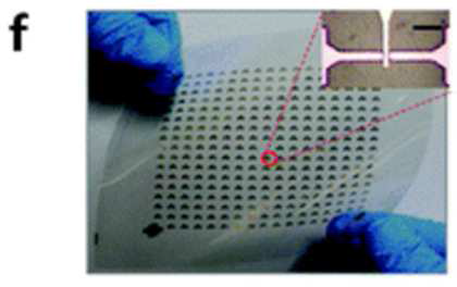 100×100mm2 의 PEN (polyethylene naphthalate) substrate에 284개의 field- effect transistors (FETs)가 배열된 형태 사진