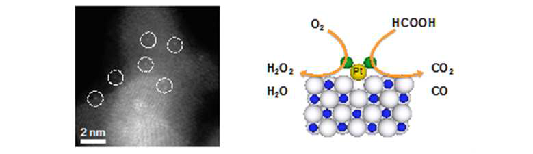 (좌) TiN 담체 위에 고정된 백금 단원자의 STEM 사진, (우) 백금 단원자 위에서는 반응 선택도가 크게 달라져 백금 나노입자와는 매우 다른 반응경로가 관찰됨