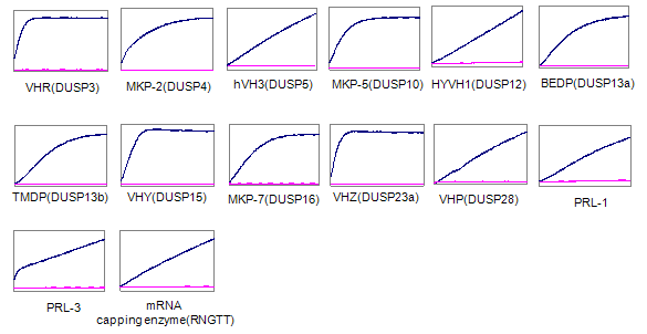활성도 측정에 사용된 DUSP 의 효소활성 progression curve