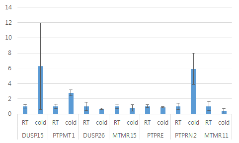 선별된 후보 PTP들의 real-time PCR을 통한 재검증