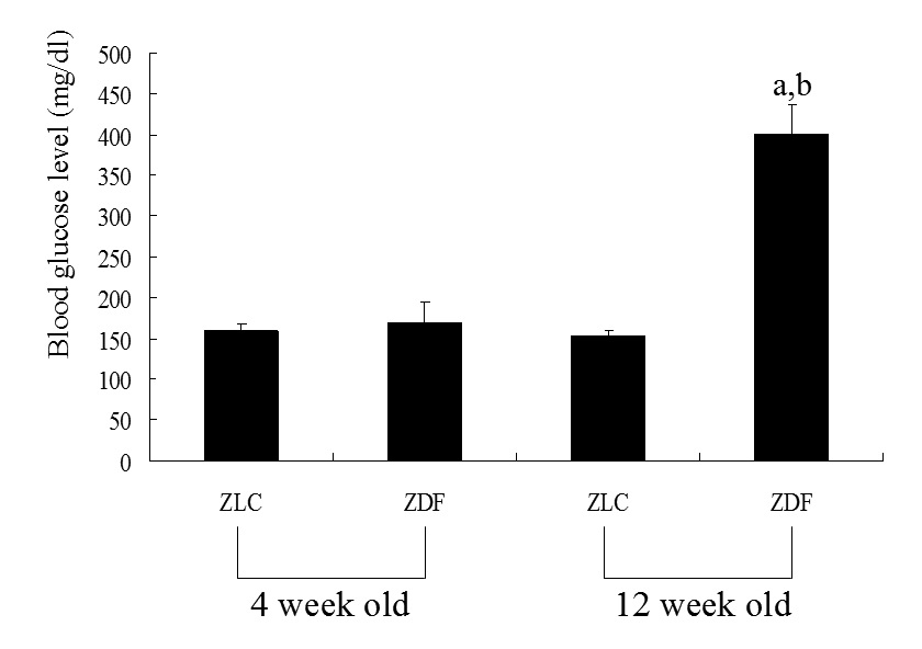 Changes in blood glucose concentration in ZLC and ZDF rats.