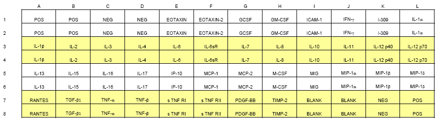 사용한 cykine array kit의 cytokine panel