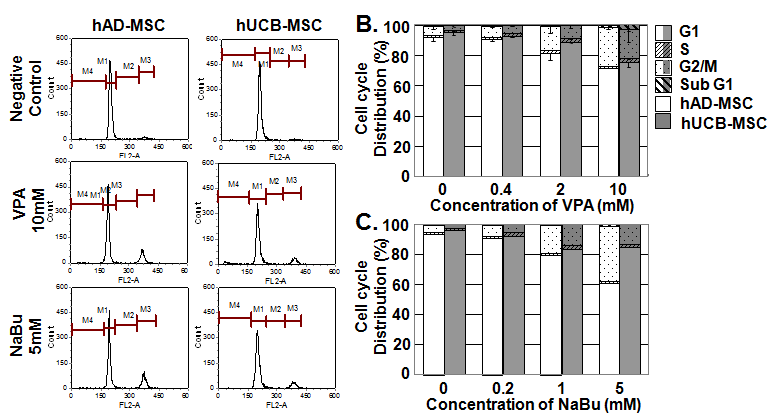 HDAC inhibitor에의한 제대혈 및 지방유래 중간엽 줄기세포의 세포주기 조 절