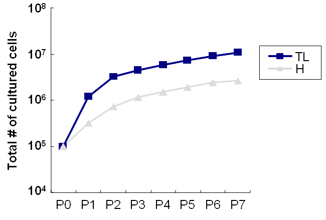 PC-NS08-526 측두엽 및 해마 유래 일차배양 세포의 성장 곡선
