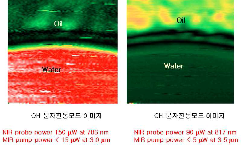 물과 기름에서 얻어진 중적외선 사광파혼합 신호세기 비교