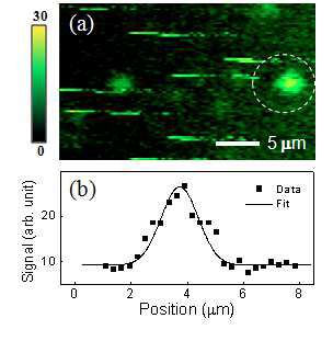 비선형광학 중적외선 현미경의 공간분해능 측정