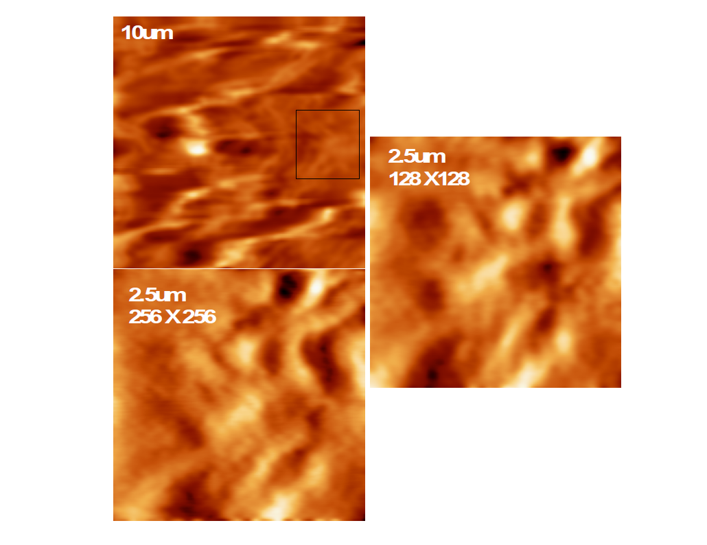 SICM images at 6.5 Hz