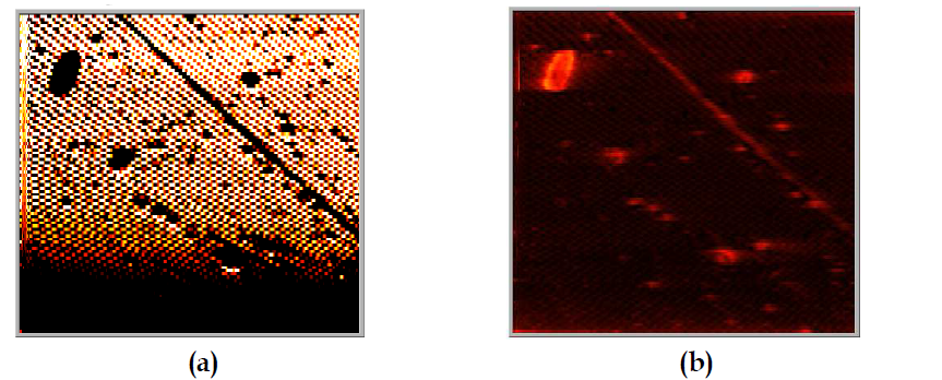 광결맞음 현미경을 이용하여 획득한 gold mirror 표면의 간섭 영상(a) 및 복조된 영상(b)