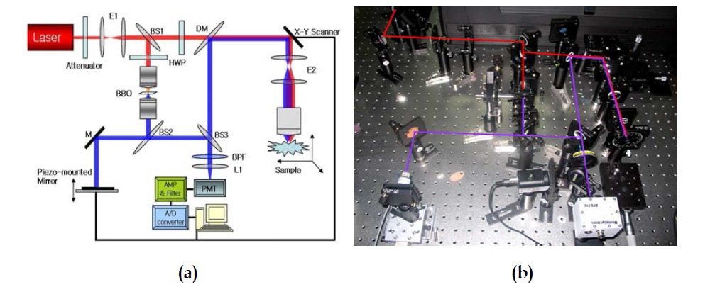 이차하모닉 광 결맞음 현미경의 구성도 (a) 및 실제 구성된 시스템 사진