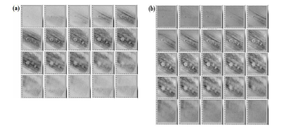 이차하모닉 현미경 (a) 과 이차하모닉 광 결맞음 현미경 (b) 의 En-face 영상 획득을 통한 깊이 범위 비교