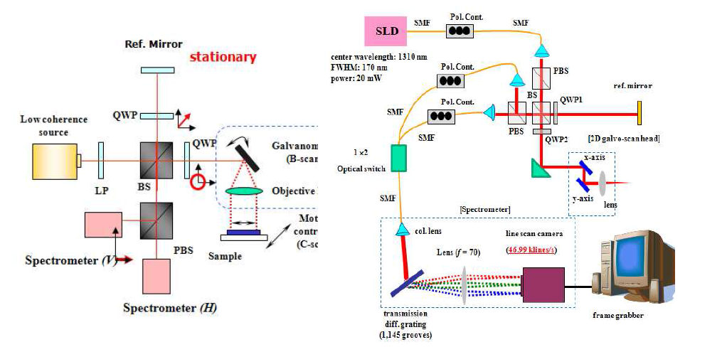 일반적인 SD-PS-OCT의 구성도 (a) 및 본 연구에서 개발된 단일 분광기 기반 SD-PS-OCT의 구성도