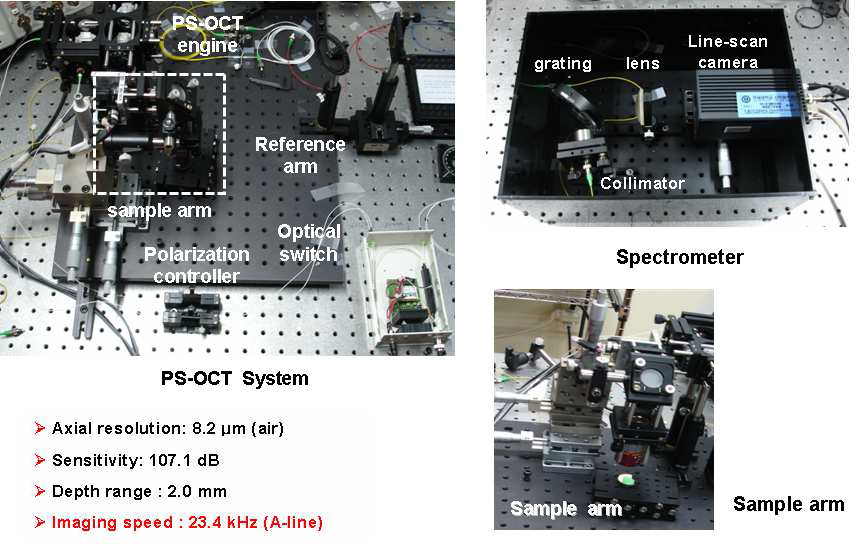 본 연구에서 개발된 SD-PS-OCT 시스템의 실제 사진과 시스템의 성능