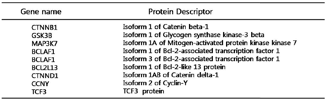 Wnt pathway 관련 단백질목록