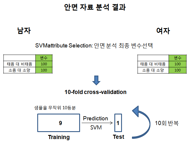 안면변수를 이용한 체질진단 정확도 측정방법 (10 fold cross-validation)