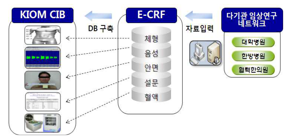 Establishment of eCRF input system