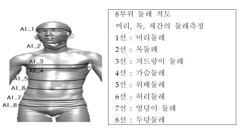 8부위 둘레 척도