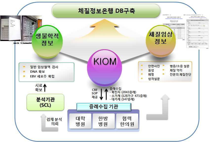 체질정보은행 구축