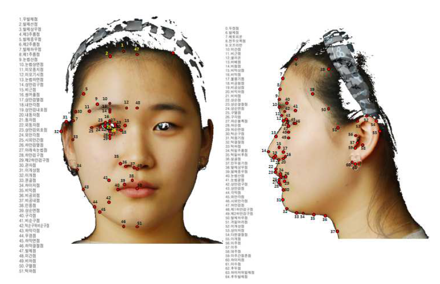 안면 분석에 사용된 정면 및 측면 특징점