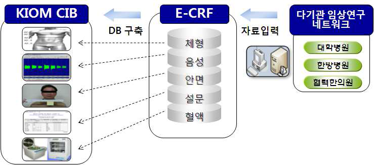 eCRF 입력시스템 구축