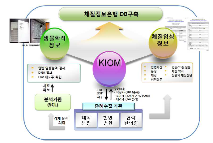 체질정보은행 구축