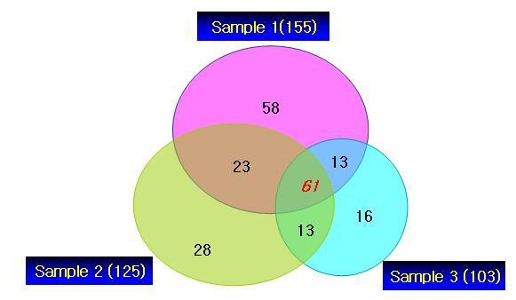 Venn diagram of overlapping proteins among the three persons (samples 1, 2, and 3) and the number of individual proteins identified with LC-ms/ms.
