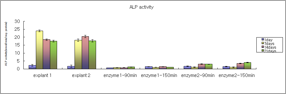 Explant technic과 Enzyme technic을 이용하여 획득한 치주인대 세포의 ALP activity 비교