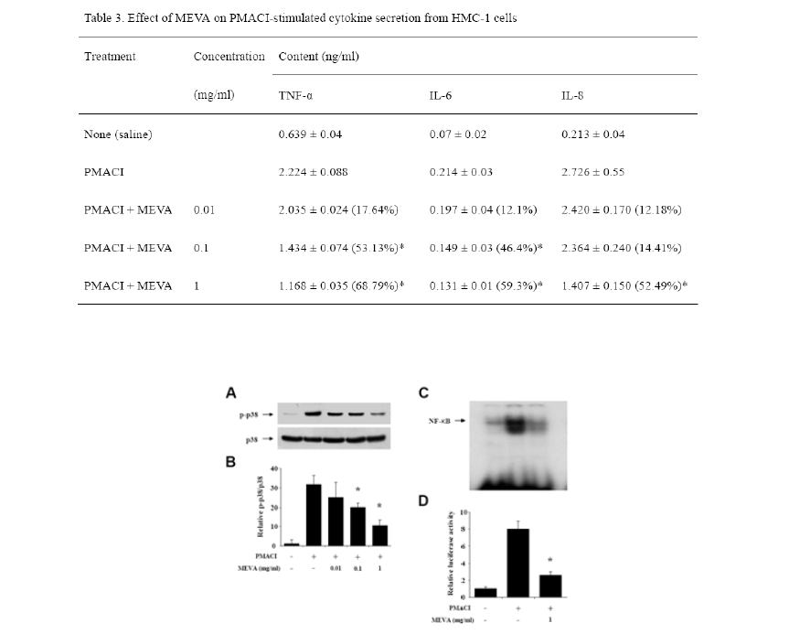 Effect of MEVA on activation of p38 MAPKs and NF-κB in HMC-1 cells : 염증유발성 사이토카인의 발현을 조절하는 핵전사인자인 p38 MAPK와 NF-κB가 머루에 의해 억제됨
