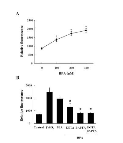 Effects of BPA on ROS production.