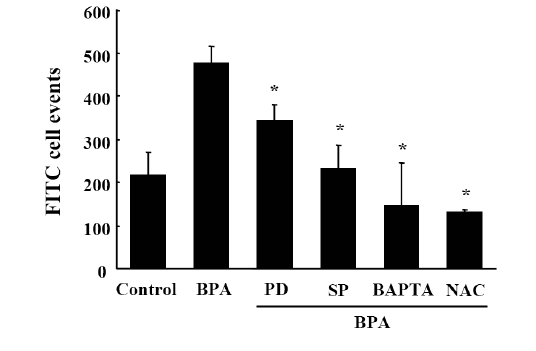 Effects of inhibitors on BPA-induced apoptosis.