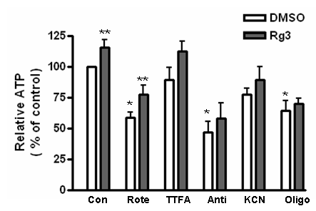 Rg3처리가 미토콘드리아 기능이 상을 유도한 세포에서 ATP생성에 미치는 영향