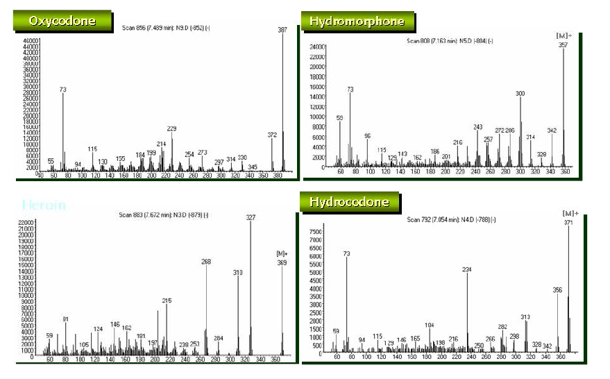 GC-MS Mass spectra of morphine, codeine, dihydrocodeine,ethylmorphine, heroin, hydrocodone, hydromorphone and oxycodone