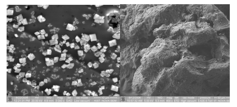 Scanning electron microscope (SEM) of epichlorohydrin and β-cyclodextrin copolymers. The morphologies of copolymers (left) untreated and (right) treated with 0.3 M CaCl2 solution are different