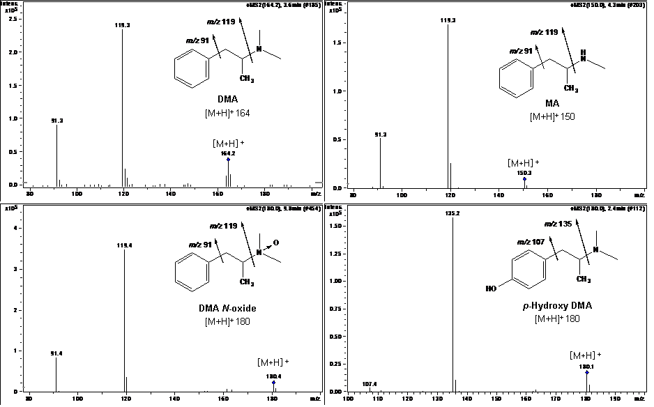 CID spectrum of protonated dimethylamphetamine and its metabolites